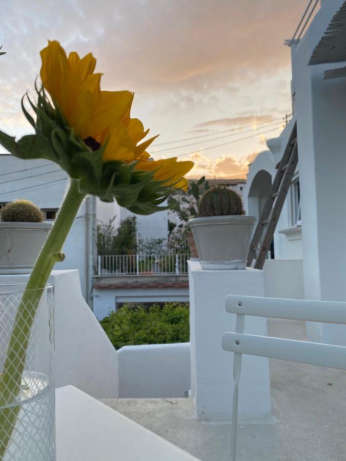 Suites Edivino Design Capri Zewnętrze zdjęcie